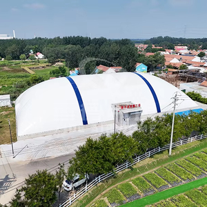 Indoor Geodesic Glamping Dome Igloo PVDF Air Supported Bubble House