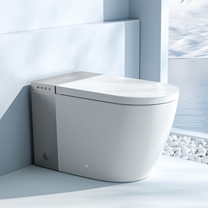 Electric Ceramic Auto Sensor Flush One Piece Intelligent Wc Bidet