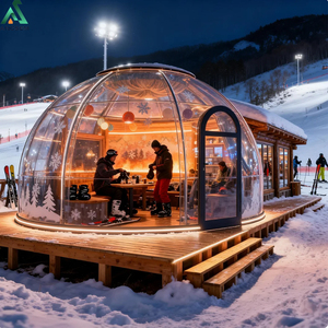 Starry Sky Bubble House Clear Geodesic Dome