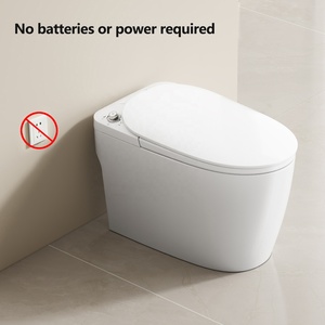 No Electricity Smart Toilet No Power Intelligent Toilet Bidet Bowl